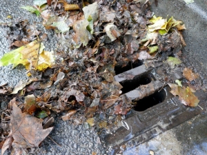 Blocked Outside Drain in Bembridge: Unblocking Tips and Tricks